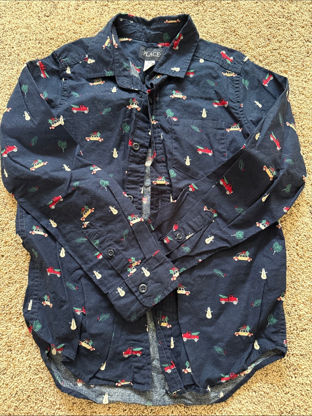 The Children's Place Navy Button-Down Shirt with Holiday Truck Print
